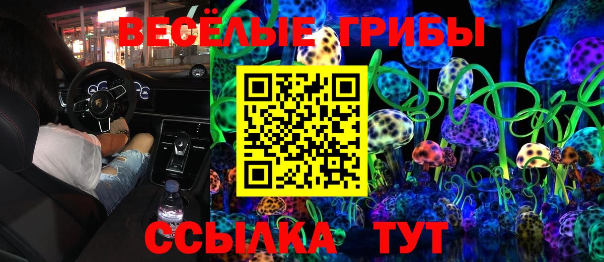 Псилоцибиновые грибы мицелий Черняховск
